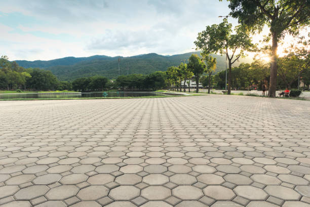 Best Driveway Repair Near Me  in Gunter, TX